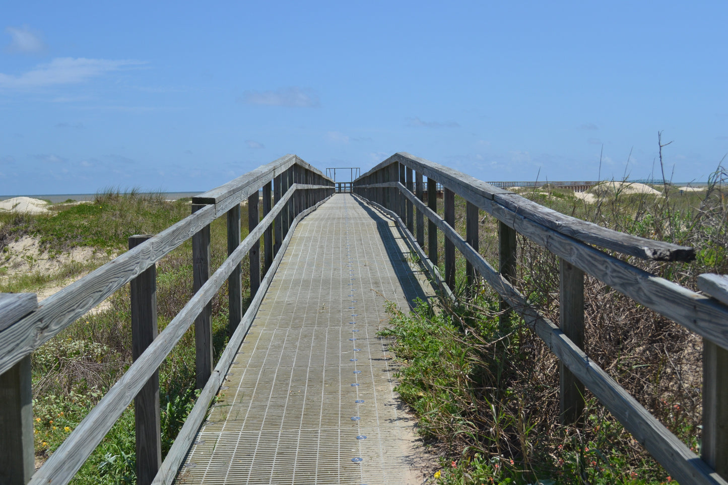 Half-Day Videography Service