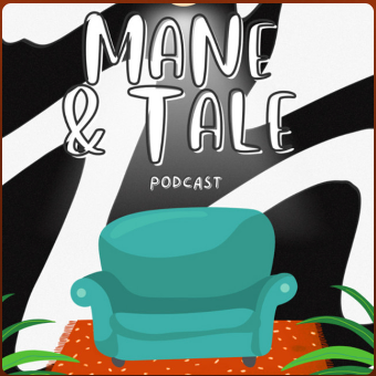 Half-Day Videography Service